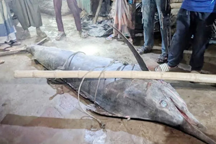 ছবি- ভোরের আকাশ