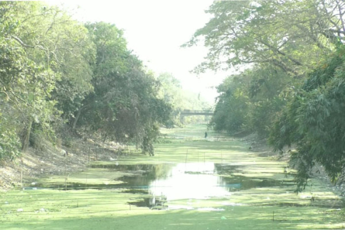 ছবি- ভোরের আকাশ