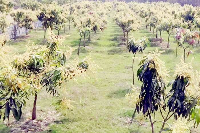 ছবি- ভোরের আকাশ