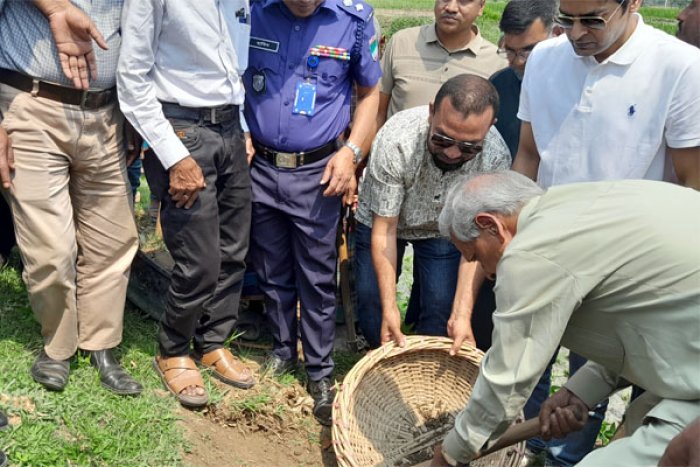 ছবি: ভোরের আকাশ