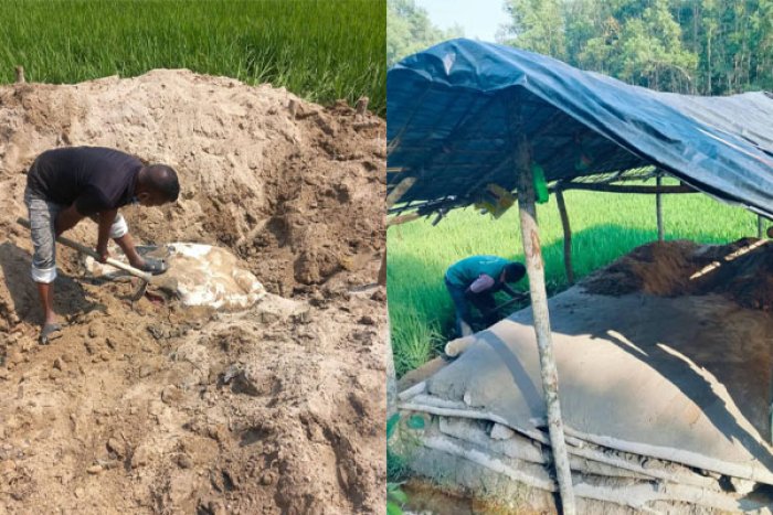 ছবি: ভোরের আকাশ
