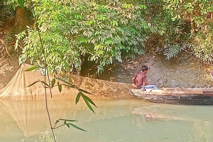 কাউখালীতে খাল-বিলে নিষিদ্ধ চরগড়া জালে চলছে মাছ নিধন