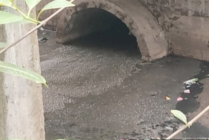 ছবি- ভোরের আকাশ