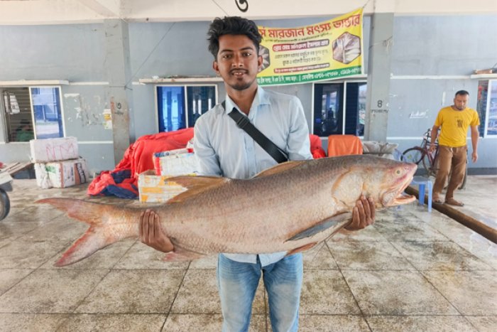 ছবি : ভোরের আকাশ