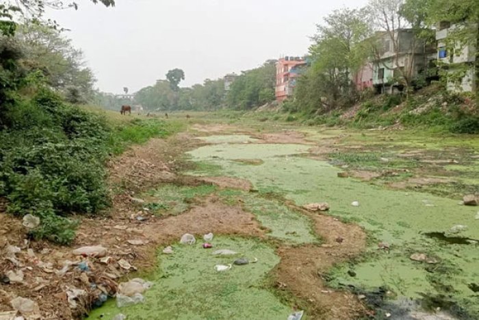 ছবি : ভোরের আকাশ