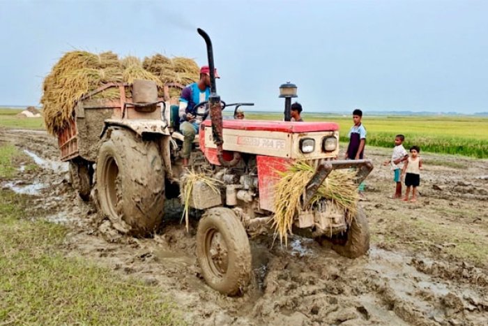 ছবি : ভোরের আকাশ