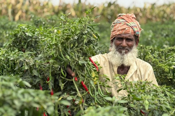 ছবি- ভোরের আকাশ