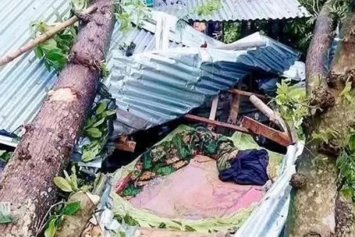 ছবি- সংগৃহীত