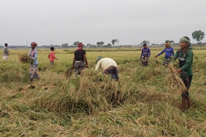 ছবি- ভোরের আকাশ