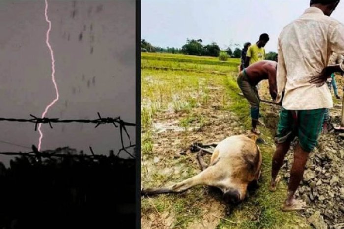 ছবি : সংগৃহীত