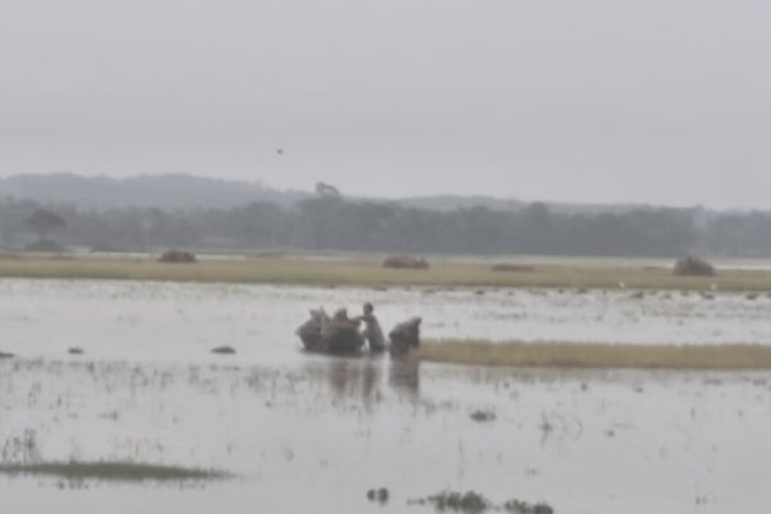 ছবি : সংগৃহীত