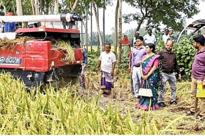 ছবি : ভোরের আকাশ