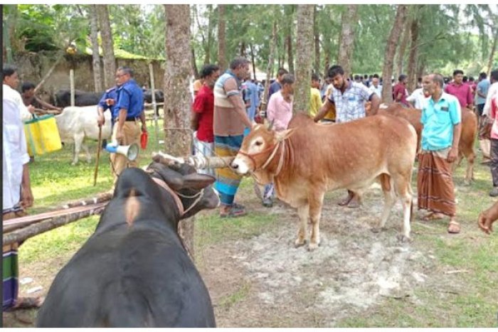 ছবি : ভোরের আকাশ