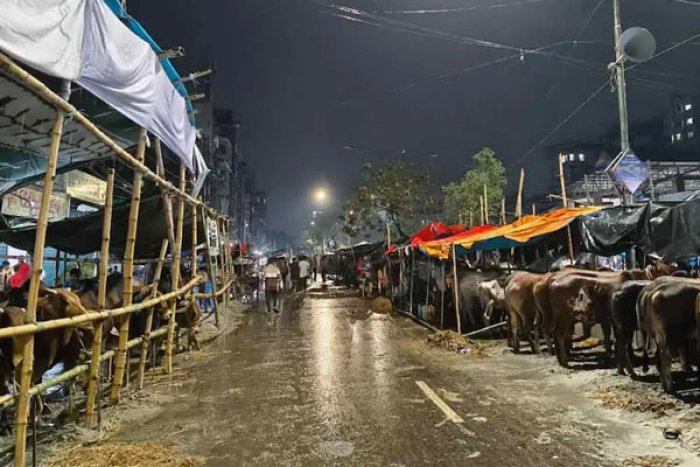 সংগৃহীত ছবি