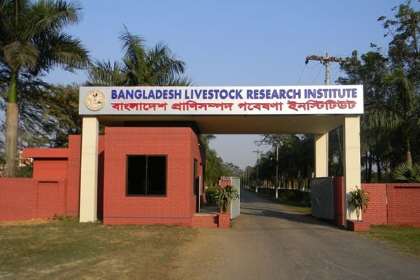 ভোরের আকাশ