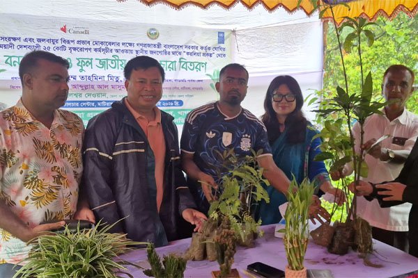 ছবি : সংগৃহীত