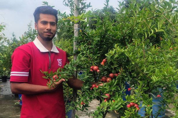 ছবি: ভোরের আকাশ