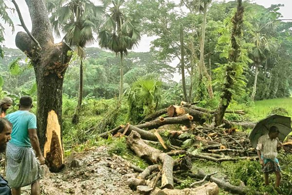 ছবি : ভোরের আকাশ