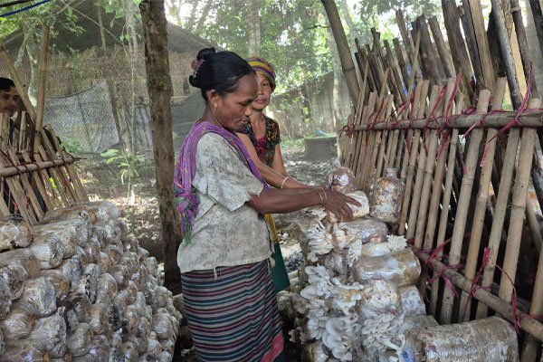 ছবি : ভোরের আকাশ