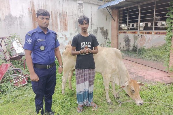 ছবি- ভোরের আকাশ