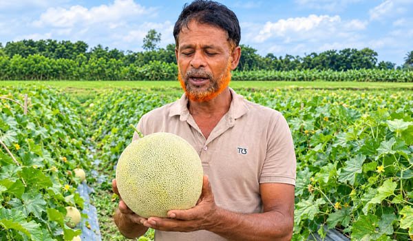 ছবি : ভোরের আকাশ