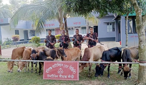 ছবি : ভোরের আকাশ