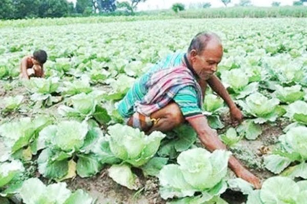 ছবি- ভোরের আকাশ