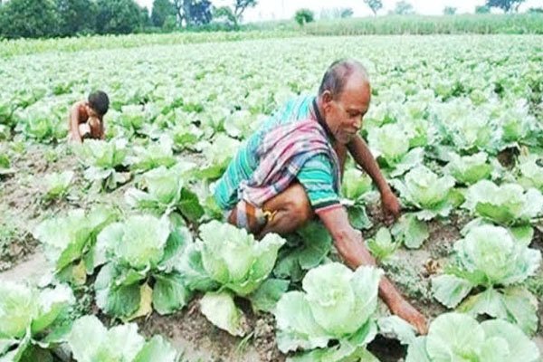 ভোরের আকাশ