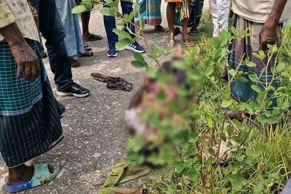 ছবি- ভোরের আকাশ