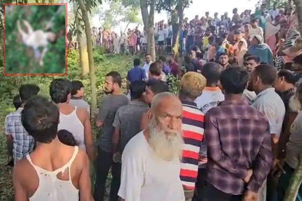 ছবি- ভোরের আকাশ