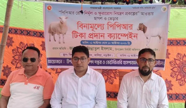 ছবি : ভোরের আকাশ