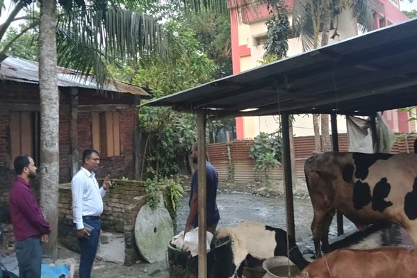 ছবি: ভোরের আকাশ