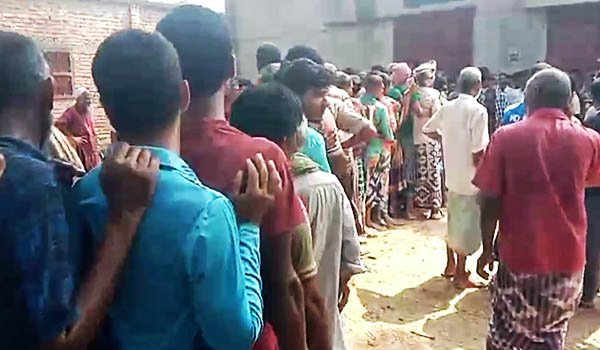 দেবীনগরের সার না পেয়ে চরম ভোগান্তিতে কৃষক