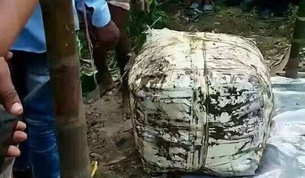 গোপালপুরের জয়কে হত্যা: ডিমলায় মাটির নিচে মিলল মরদেহ