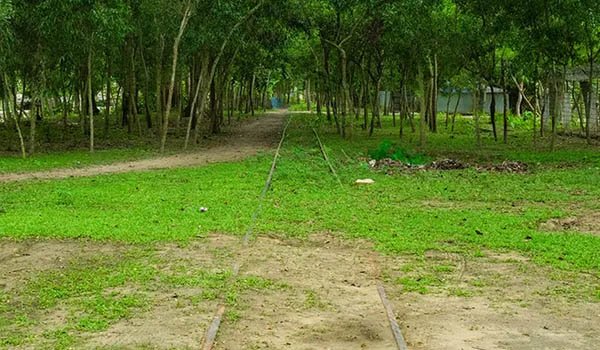 ফেনী-বিলোনিয়া রুটে ট্রেন চালুর প্রস্তাবনা