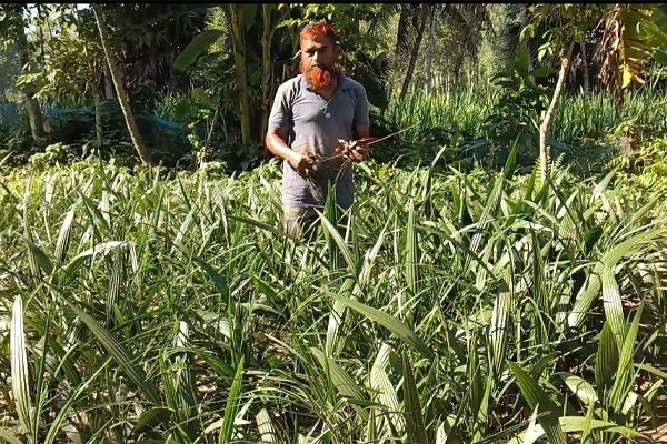 ভোরের আকাশ