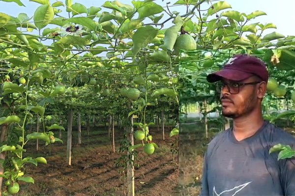 ভোরের আকাশ