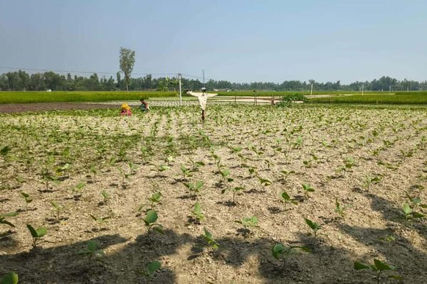 ছবি- ভোরের আকাশ