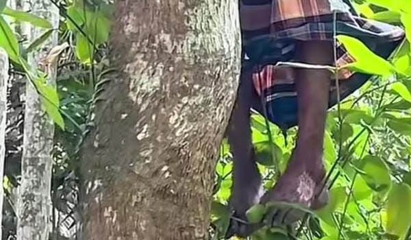রায়পুরে সুপারি বাগানে বৃদ্ধের ঝুলন্ত মরদেহ উদ্ধার